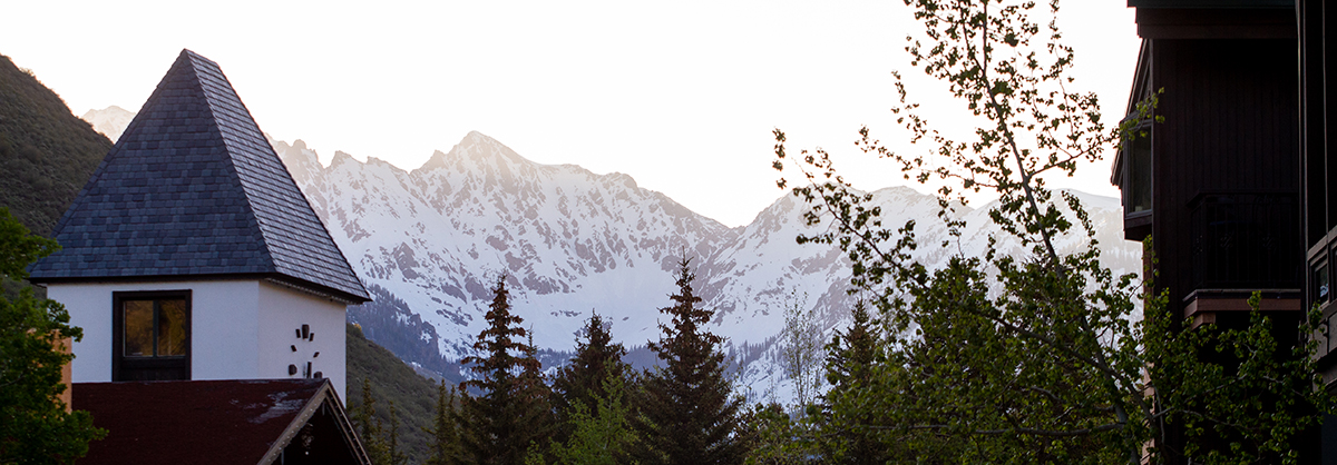 Big picture: an overview of the 2021 event