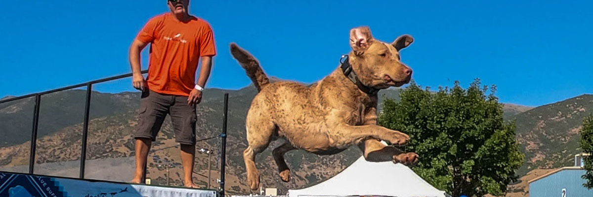 Athletes to Watch: Team Hawaiian Chaos