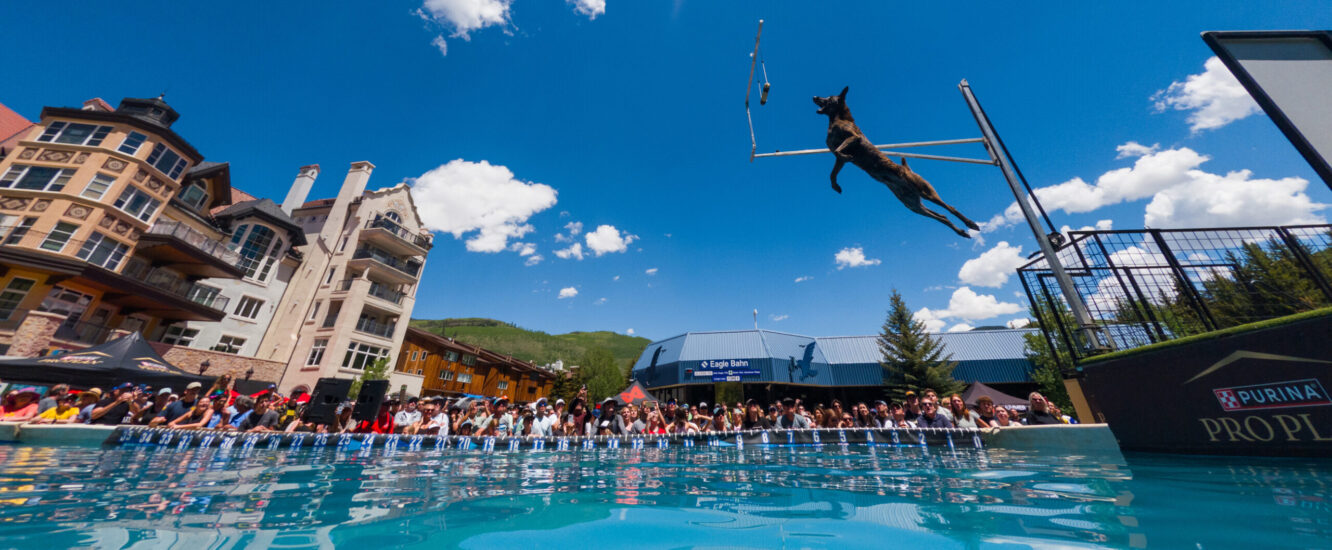 Paws-itively fun dog activities at the GoPro Mountain Games