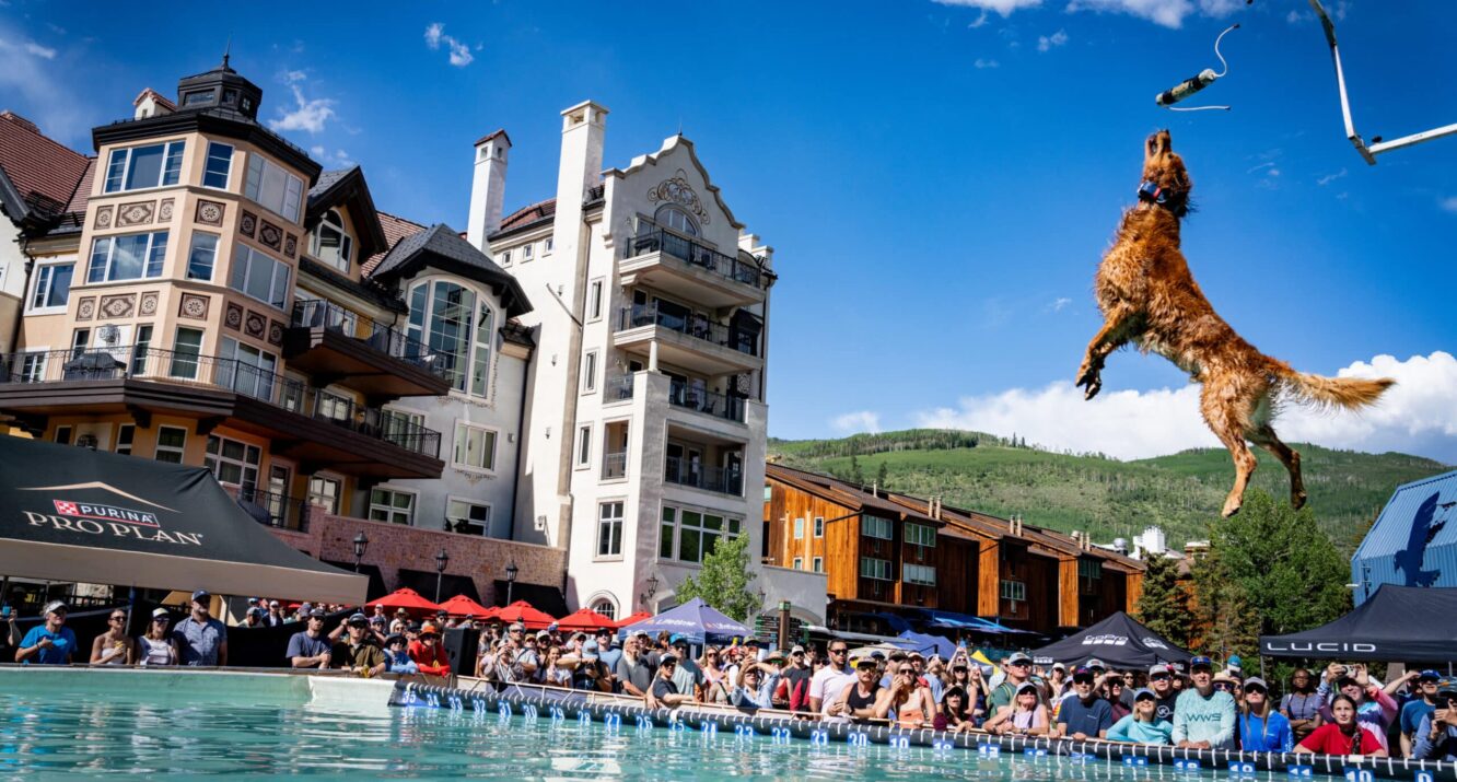 GoPro Mountain Games breaks records in dog adoptions, high jumps and good vibes